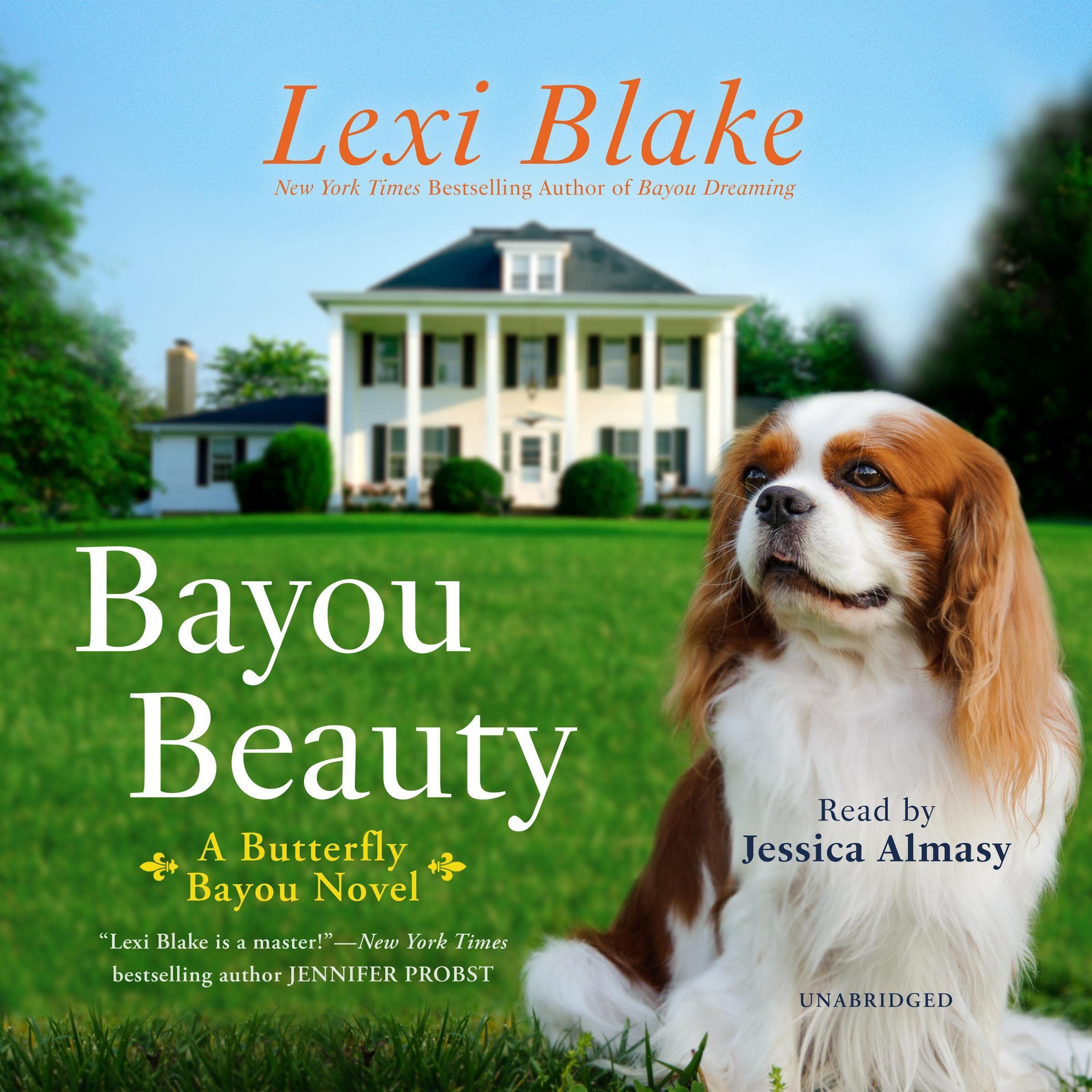 Cover art for Bayou Beauty