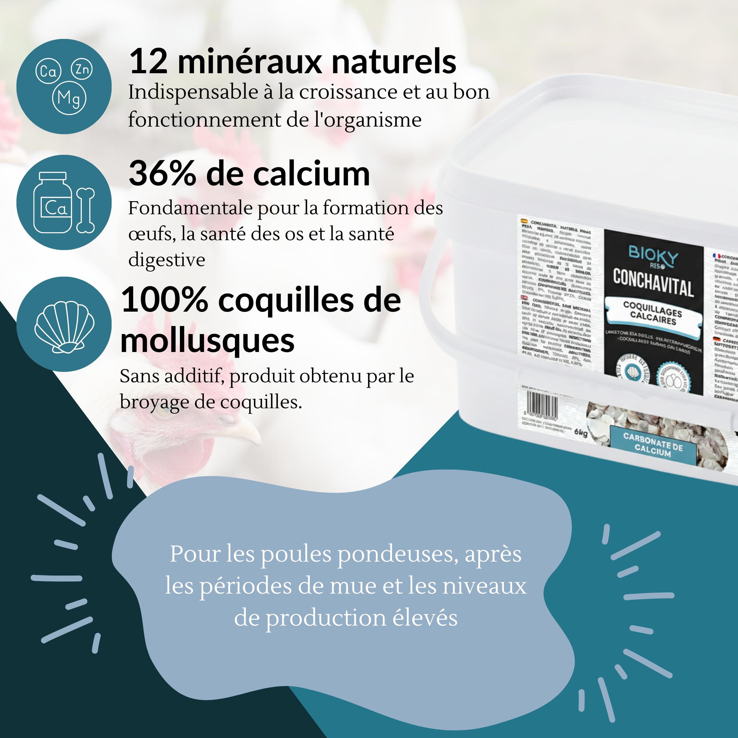ConchaVital 6 kg - Calcium pour Poules pondeuses et Autres Oiseaux - Coquille d'huître - Nourriture + 12 minéraux - Améliore la Qualité de l'œuf, Corrige Les Carences Nutritionnelles