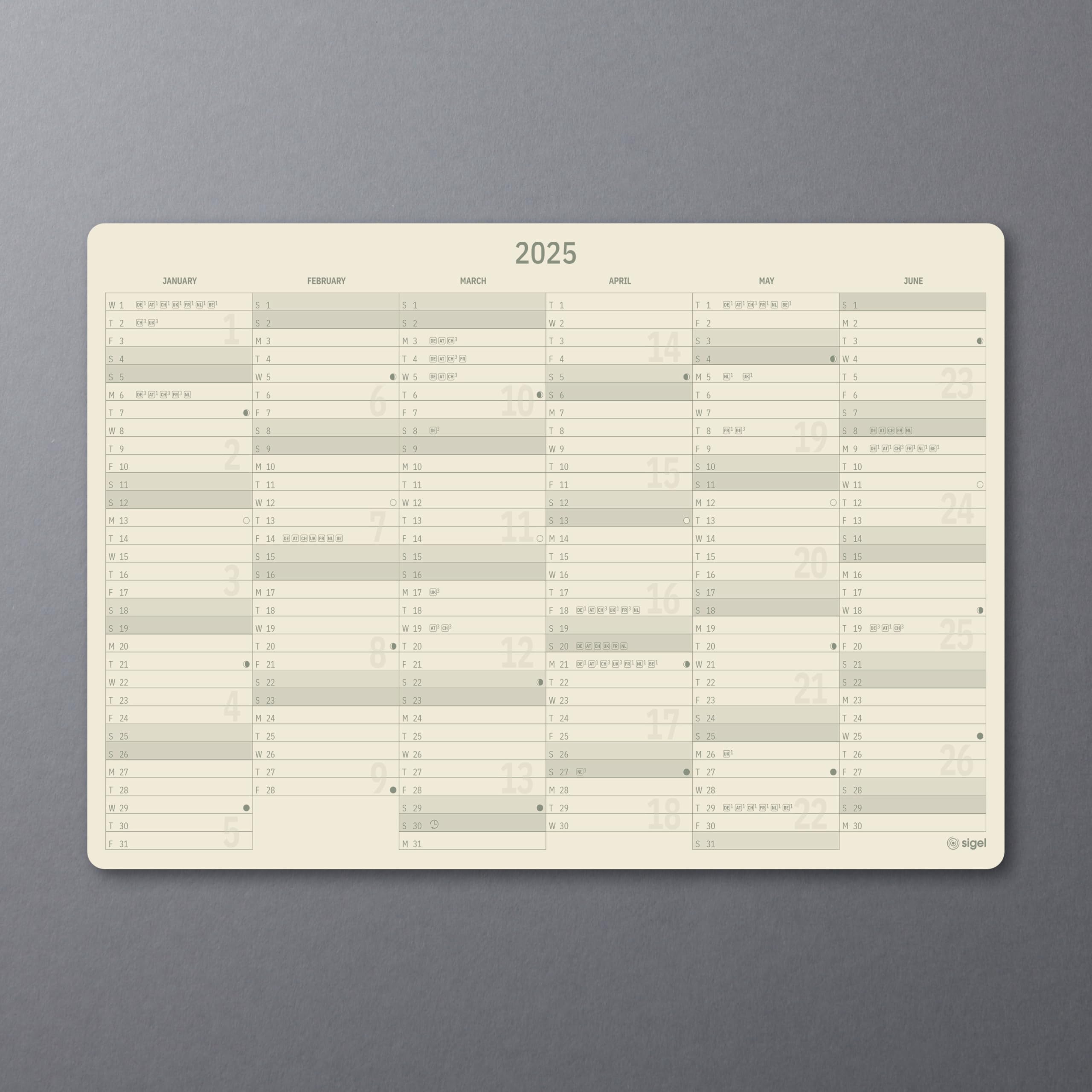 SIGEL C2504 Planungsbuch XXL, Terminkalender 2025, A4+, 1 Tag = 1 Seite, für 4 Personen, schwarz, Hardcover, 480 Seiten, Gummiband, Stiftschlaufe, Archivtasche, PEFC-zertifiziert, Conceptum