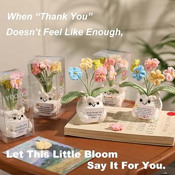 YOOJEE Forget-Me-Not Crochet Flower Potted Plant Gift | Difference You Make Gift, PET Display Box, Teacher Appreciation, Coworker, Employee, Thank You Gift, Handmade Desk Decor