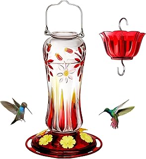 Kingsyard Hummingbird Feeder for Outdoors Hanging, 25 Ounces, Glass Humming Bird Nectar Feeder with Ant Moat & 6 Feeding P...