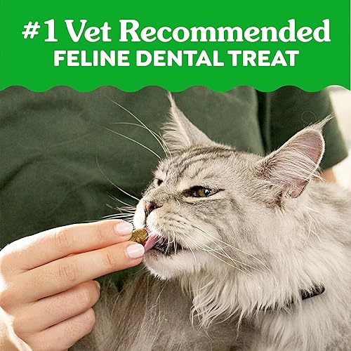 Miniatura 3 de Greenies Golosinas dentales naturales para gatos adultos recomendadas por veterinarios felinos, sabor hierba gatera, bolsa de 2.1 onzas