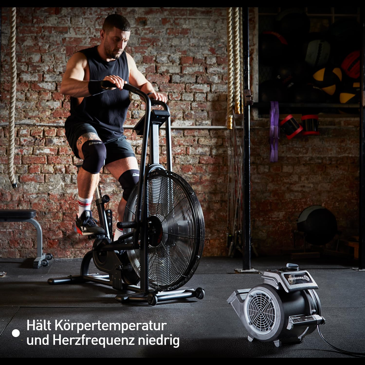 Vacmaster Standventilator, Windmaschine mit 3 Laufgeschwindigkeiten, Bodenventilator Power, Tischventilator Luftkühler AM1202R 124W