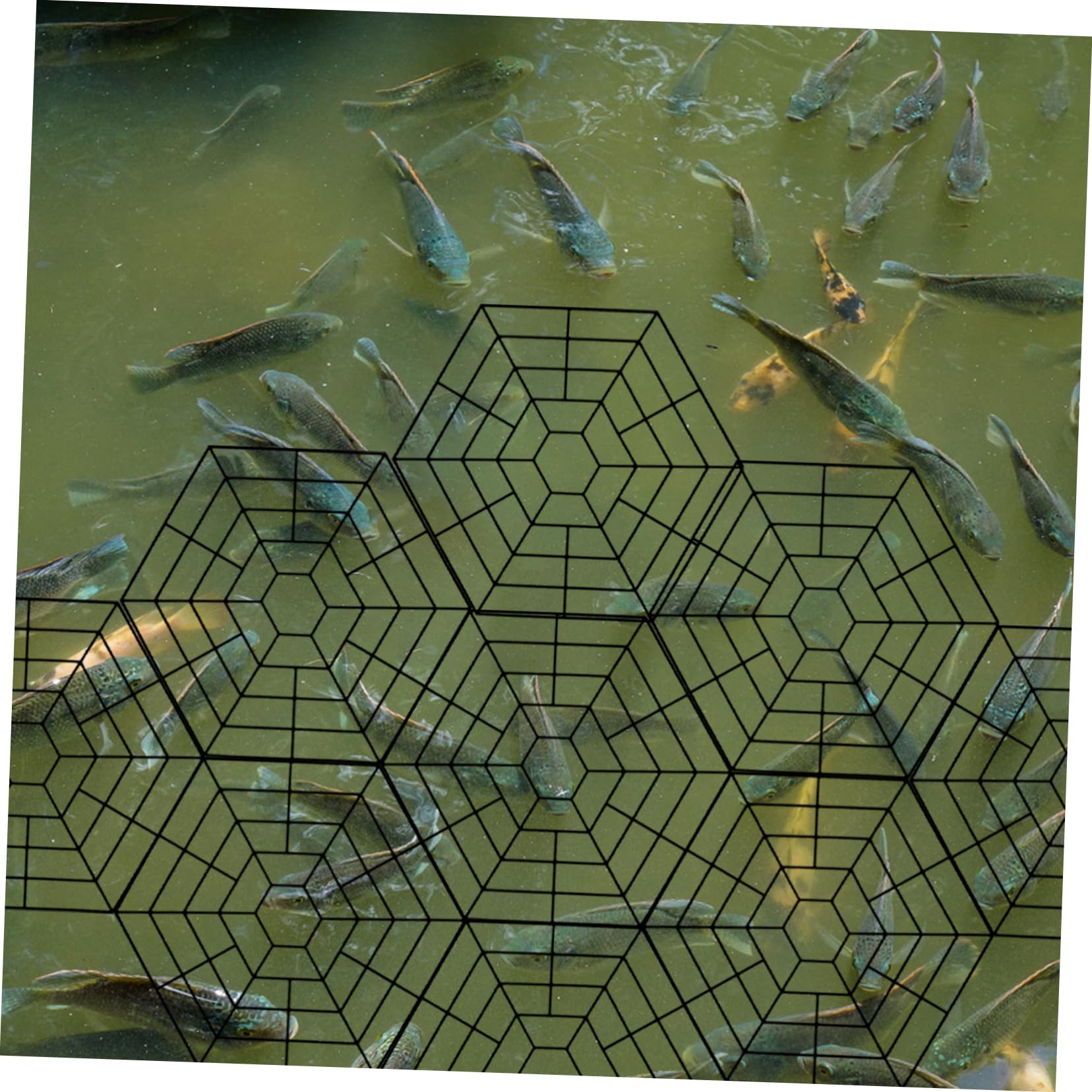 UPKOCH 15piezas Protección para Peces Hexagonales De Plástico para Estanques Pequeños Disuasorio De Garzas para Estanques Al Aire Accesorios De Seguridad para De Peces