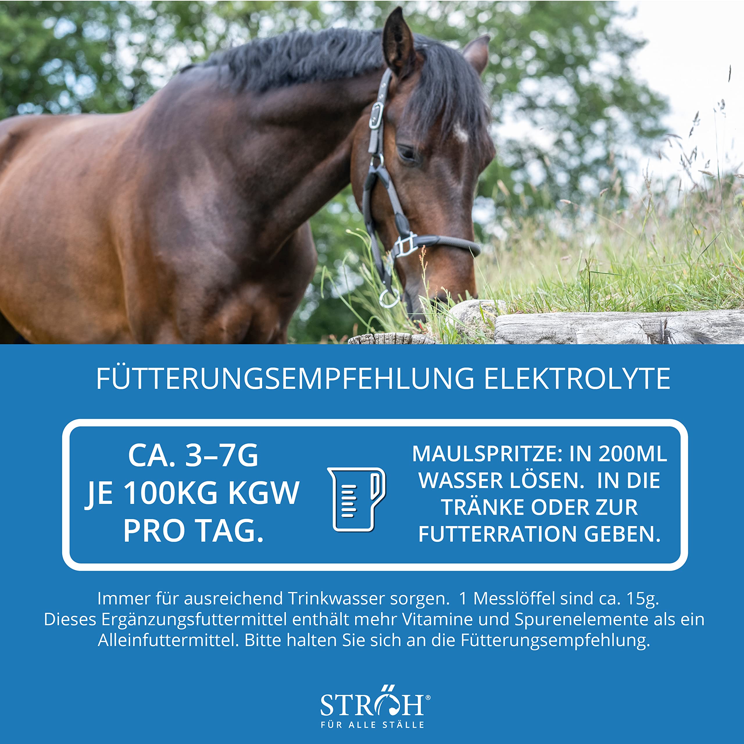 STRÖH Elektrolyte für Pferde + Traubenzucker (1,5 kg) • Mineralsalz Pulver Pferd • Mineralien für Pferde