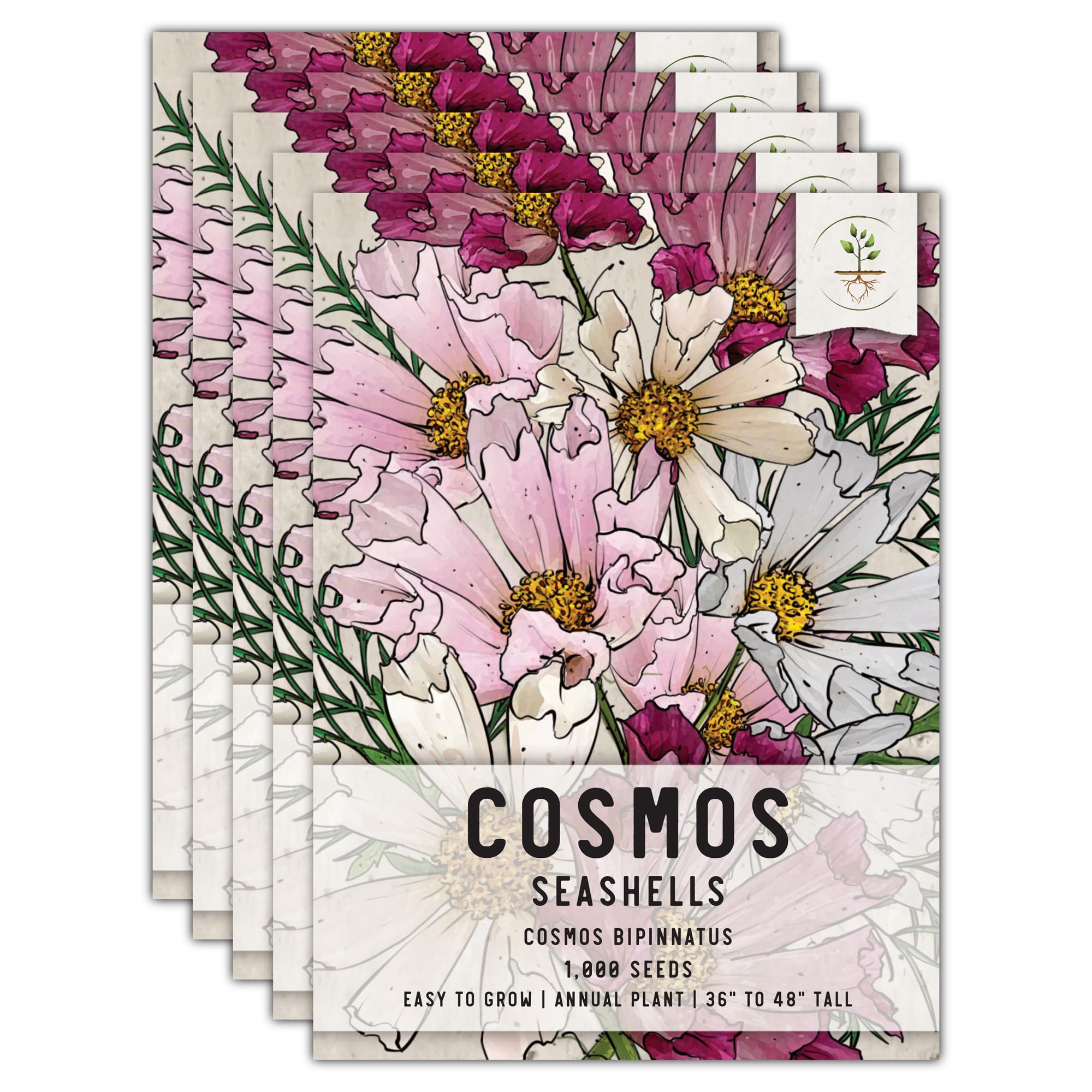 Seed Needs Seashells Cosmos Seeds to Plant Mixed Cut Flowers 5 Packs