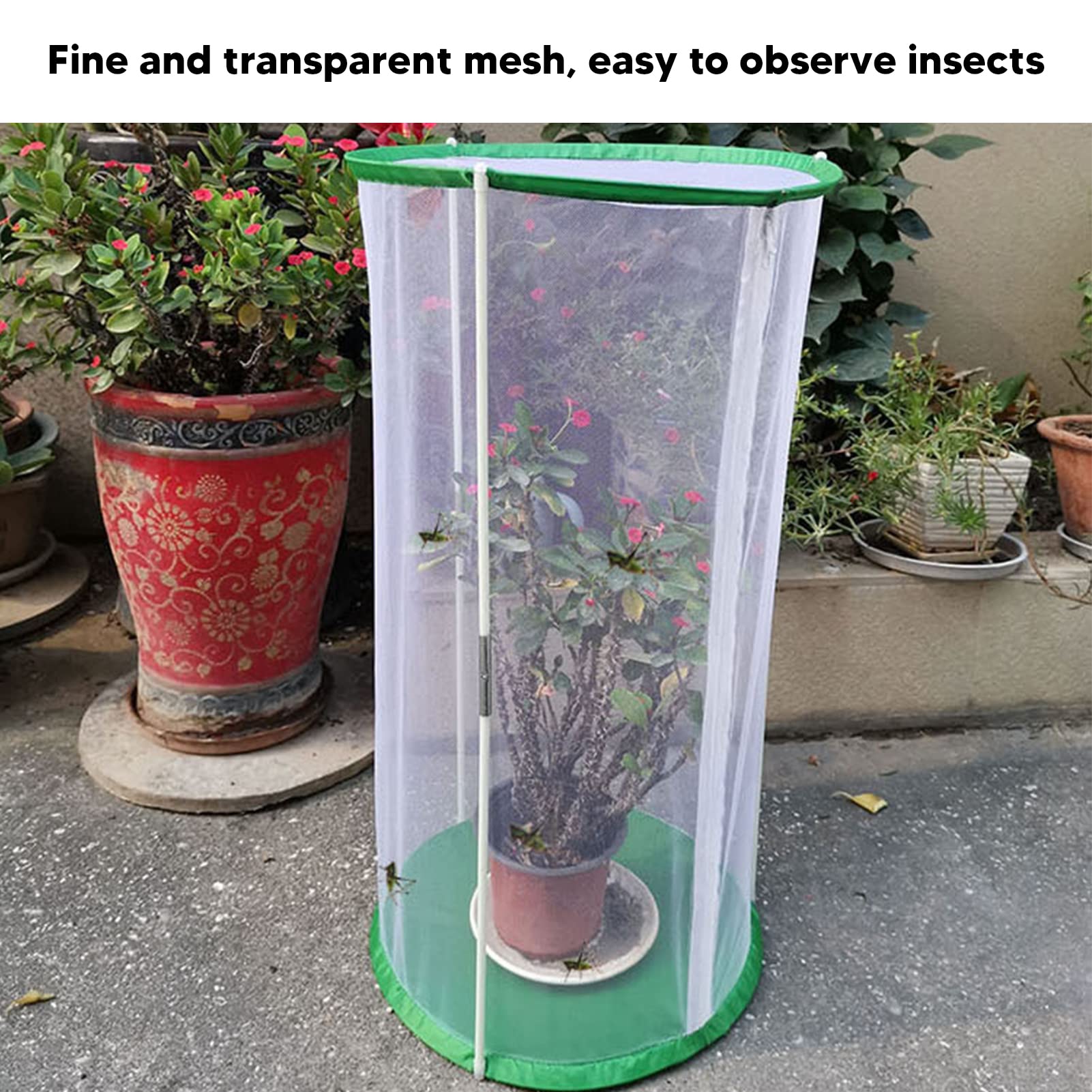 Cage d'observation transparente pour papillons et insectes, maille cylindrique