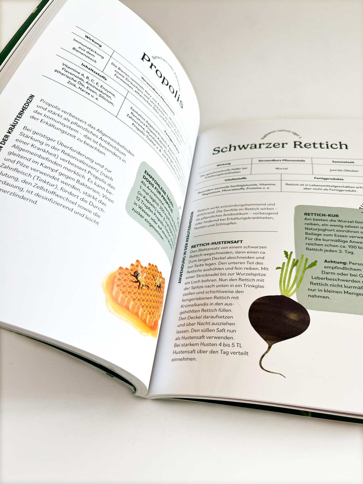 Heilen mit pflanzlichen Antibiotika: Mit 200 Rezepturen für Ihre Gesundheit. Kräutermedizin für starke Abwehrkräfte