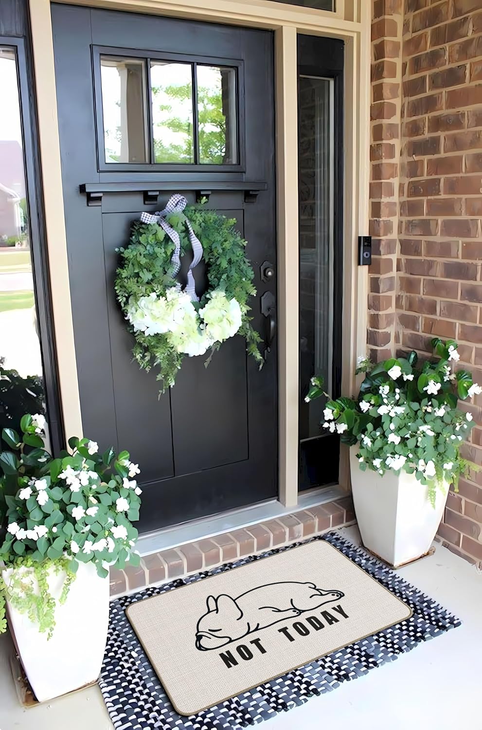 Funny French Bulldog Gifts Welcome Decor Door Mat 17 x 30 Front Door Mat,French Bulldog Dog Lovers Gifts for Women