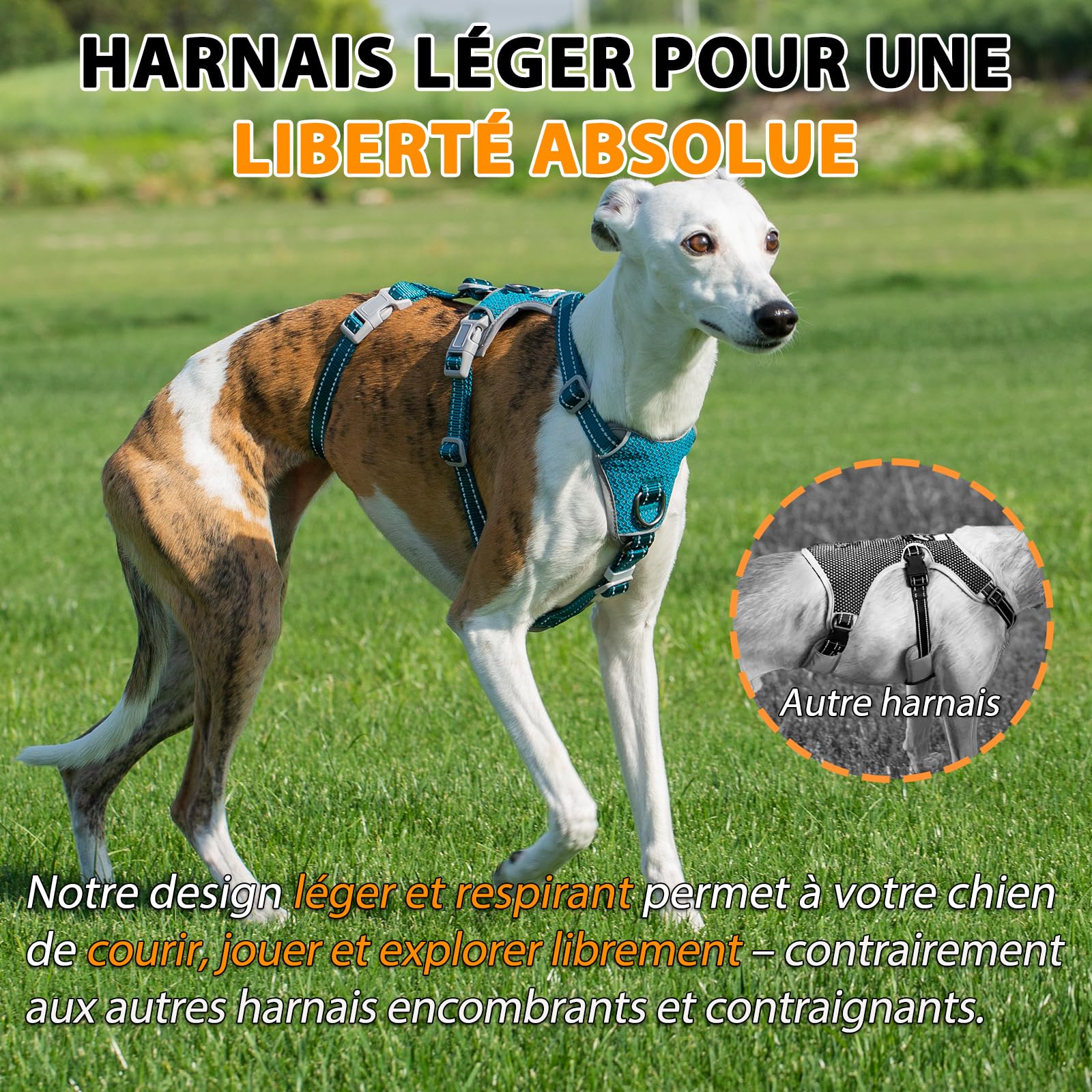 Huntboo Harnais Anti-Fugue pour Chien, Harnais Réfléchissant Anti-Traction pour Petits, Moyens et Grands Chiens, Durable, Réglable et Respirant pour l’Entraînement et la Promenade (Bleu,S)