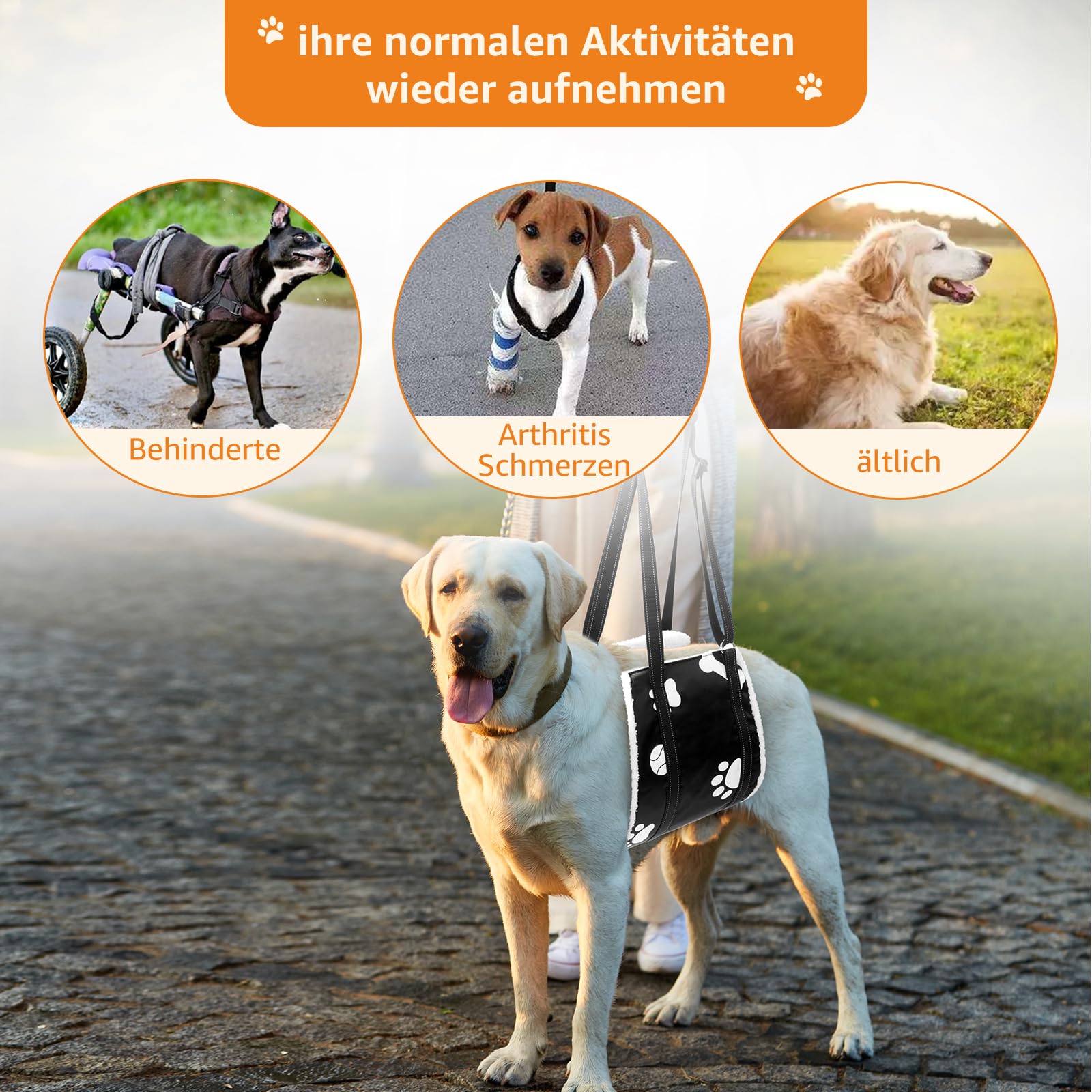 Weiche Hunde Tragehilfe - Verstellbare Gehhilfe für Hunde in verschiedenen Größen, Sicherheitsunterstützung für behinderte, verletzte oder ältere Hunde