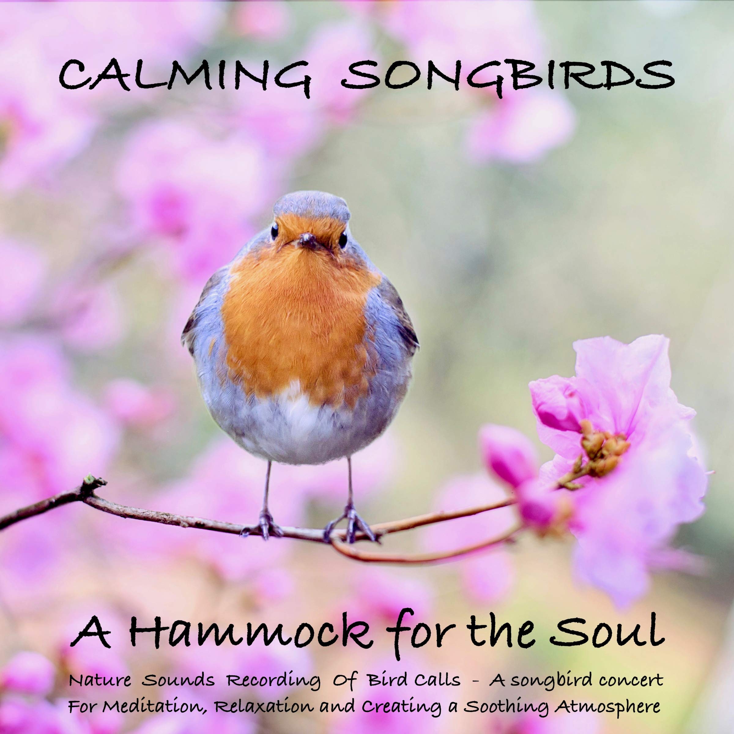 Calming Songbirds - A Hammock for the Soul: Nature Sounds Recording Of Bird Calls - A Songbird Concert for Meditation, Relaxation and Creating a Soothing Atmosphere