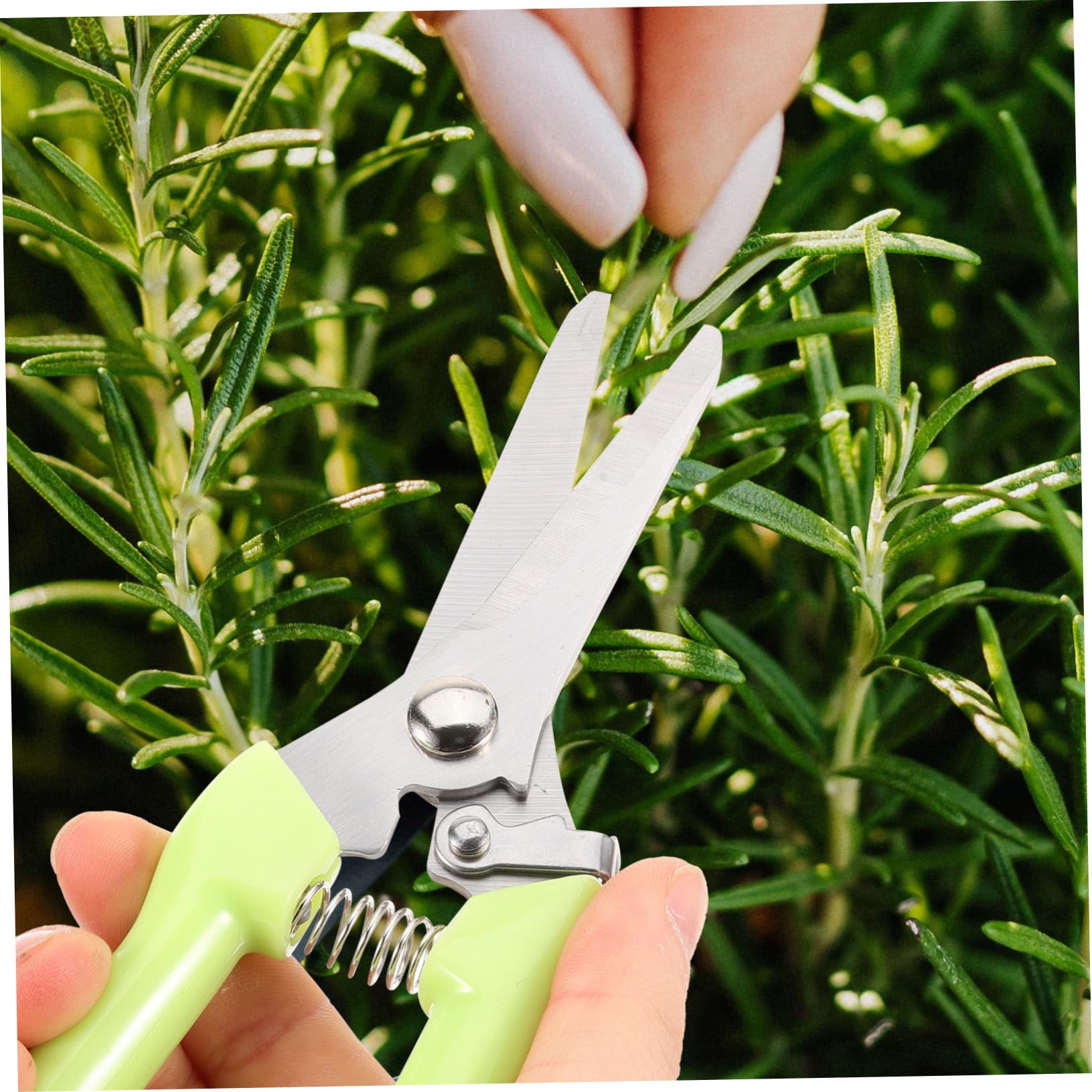 Toyvian 3 Sätze Garten Pflanzenschneider Teiliges Ergonomische Gartenscheren Für Obstschneiden Praktische Und Robuste Gartenschneidwerkzeuge Für Effektives Gärtnern 2 Stück * 3