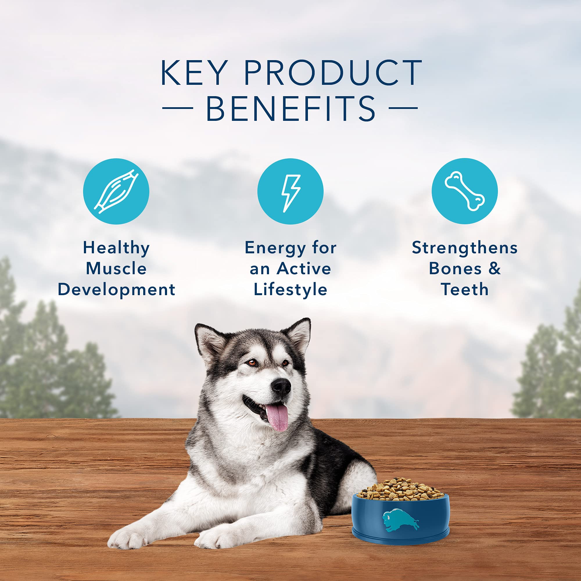 Blue Buffalo Wilderness High Protein, Natural Adult Dry Dog Food Buy Online in United Arab