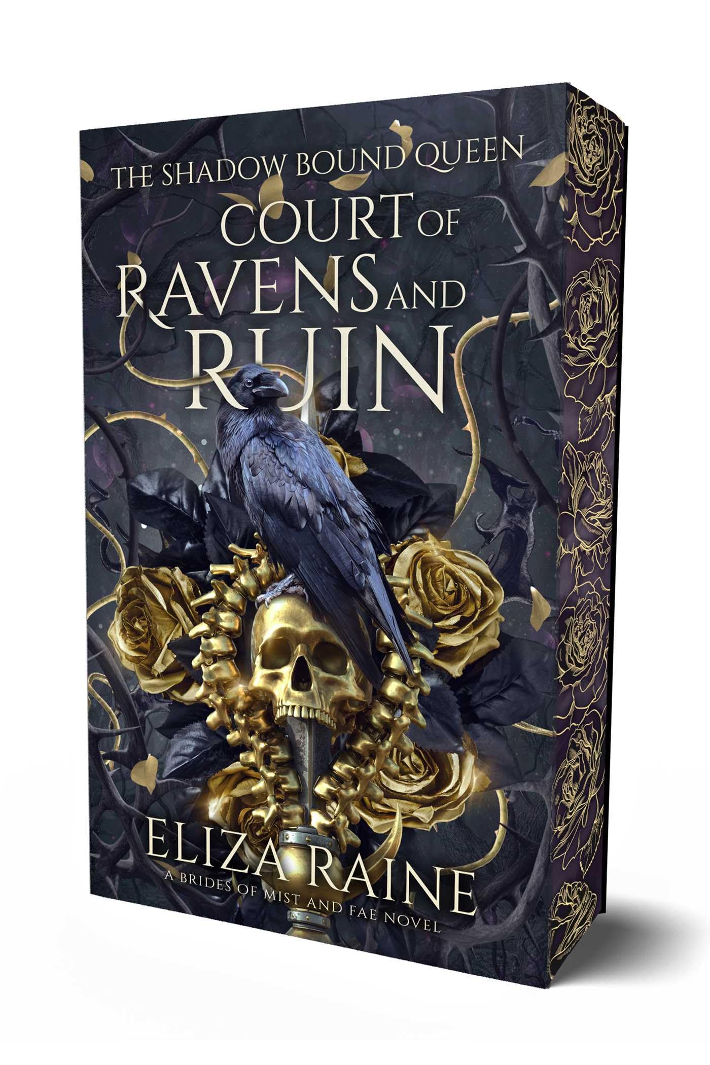Court of Ravens and Ruin (Volume 1) (Shadow Bound Queen)