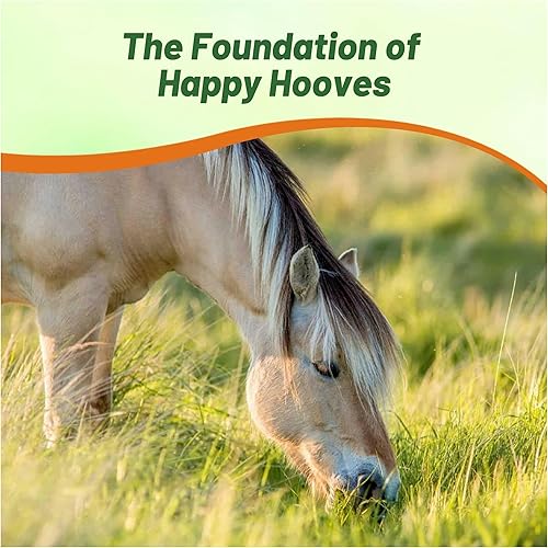 Miniatura 5 de Outsidepride Mezcla de semillas de pasto de caballo perenne y Livestorck - 50 libras