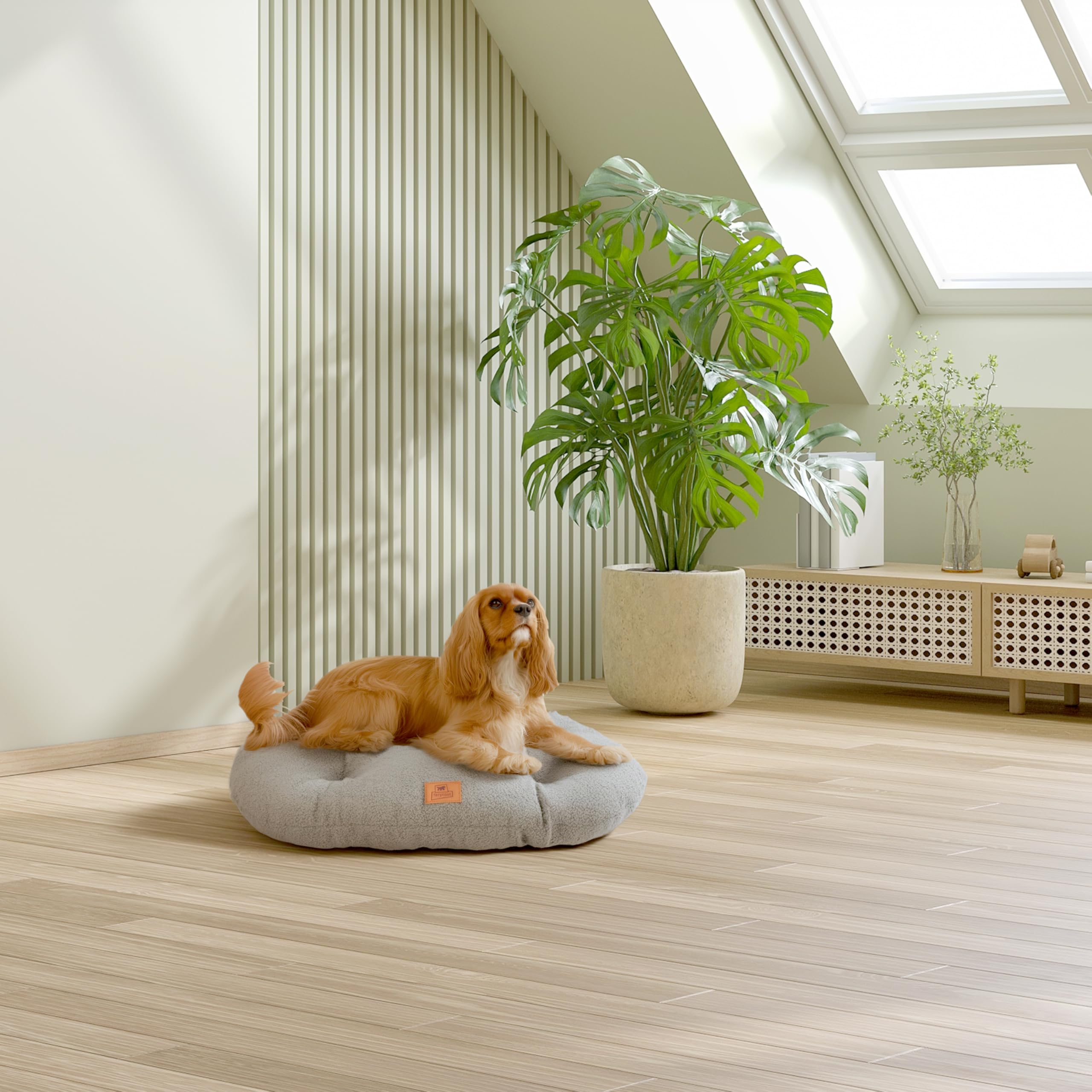 Ferplast Coussin pour Chien de Taille Moyenne, Panier pour Chat, Tissu bouclé synthétique Lavable, Rembourrage Moelleux, 65 x 42 x 4 cm. Gris