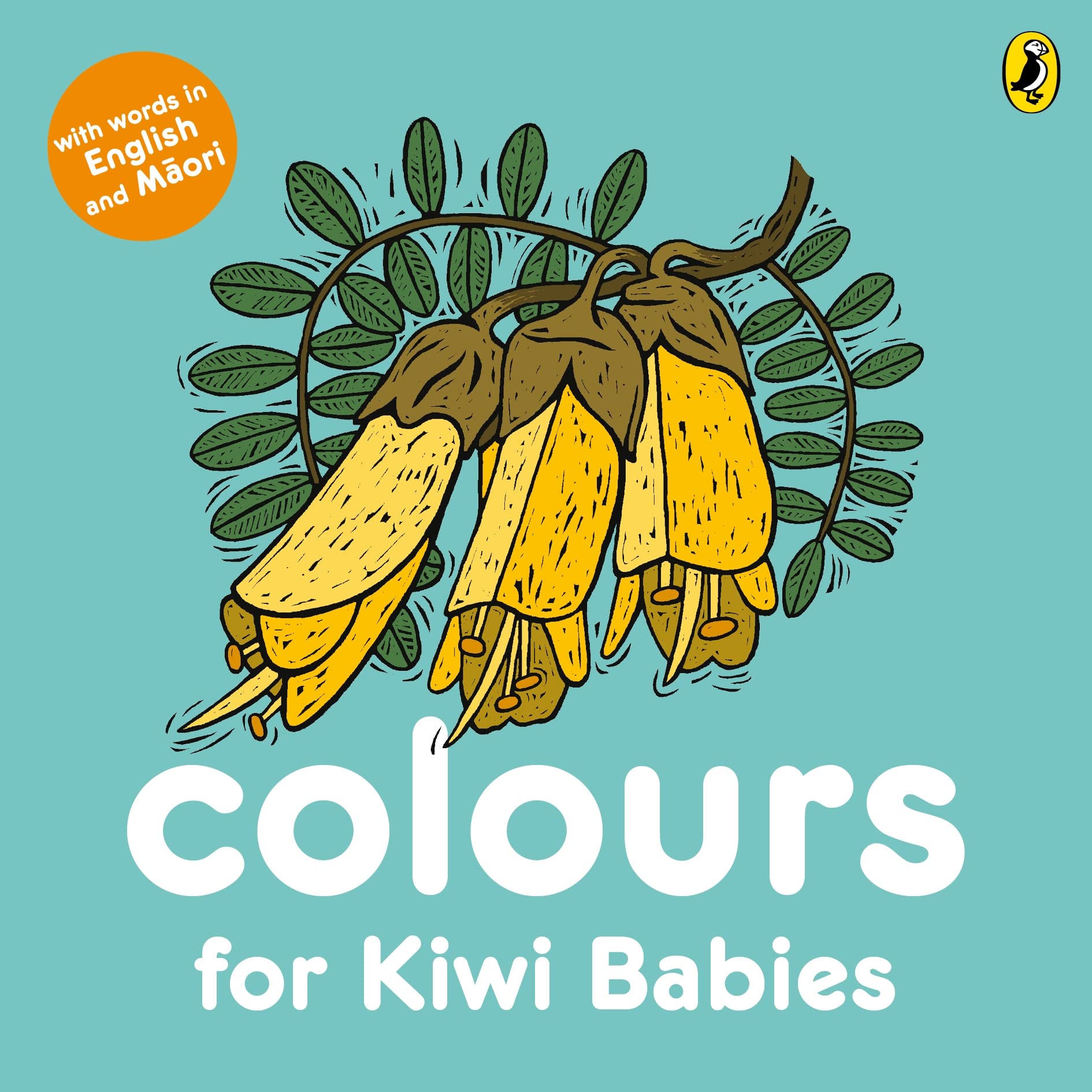 Colours for Kiwi Babies [Board book]