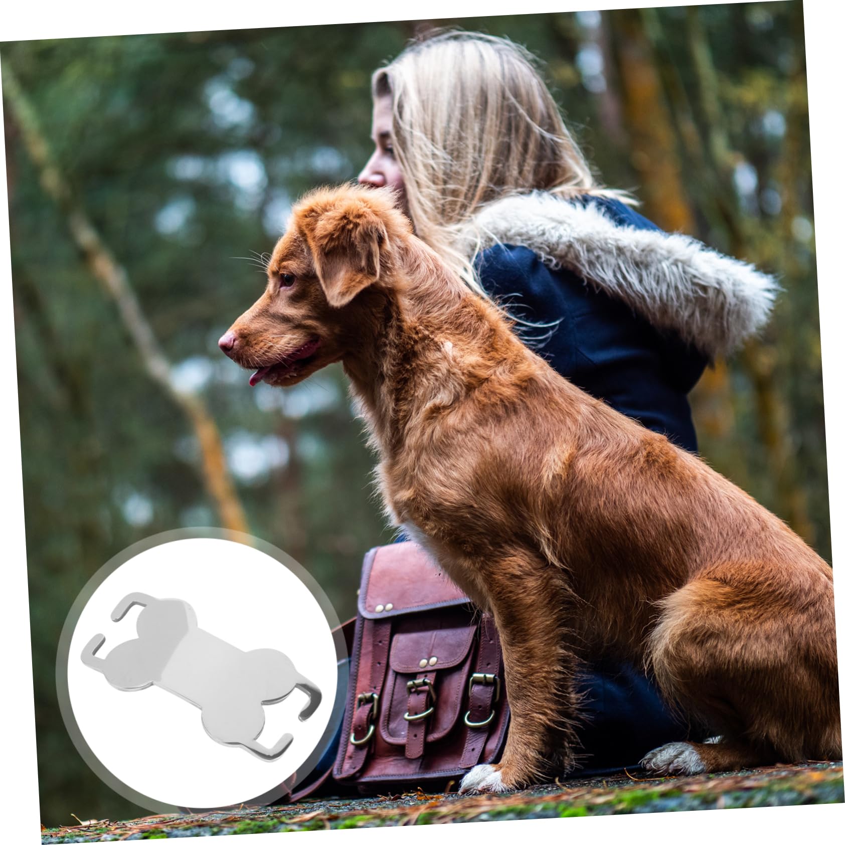 YARNOW 30pièces Médailles Identification Acier Inoxydable pour Chiens Plaques Personnalisables Os pour Animaux De Compagnie Étiquettes Vides à Graver