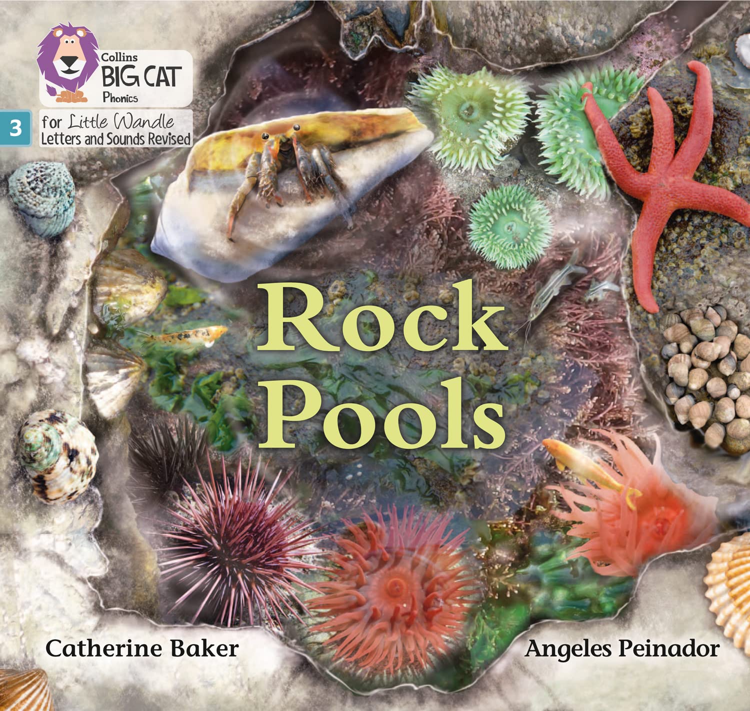 Rock Pools by Catherine Baker, Angeles Peinador,  Collins Big... - 9780008504151