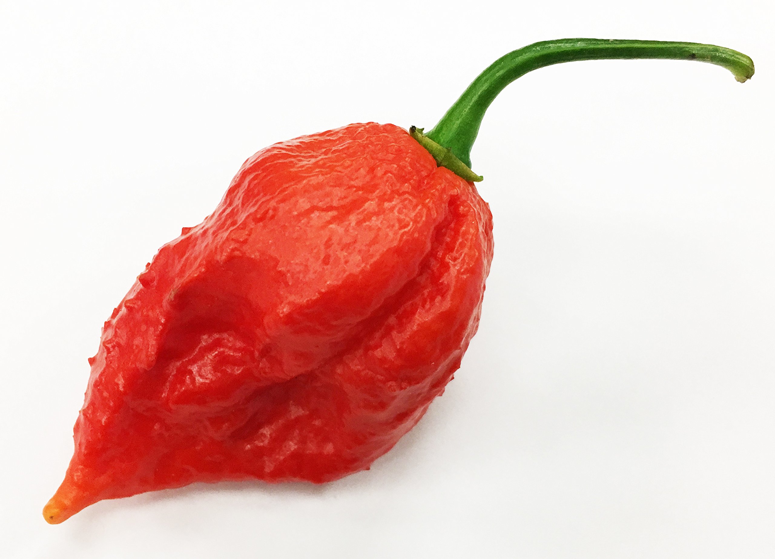 Amazon.com : Jigsaw Pepper Premium Seeds for Planting Packet