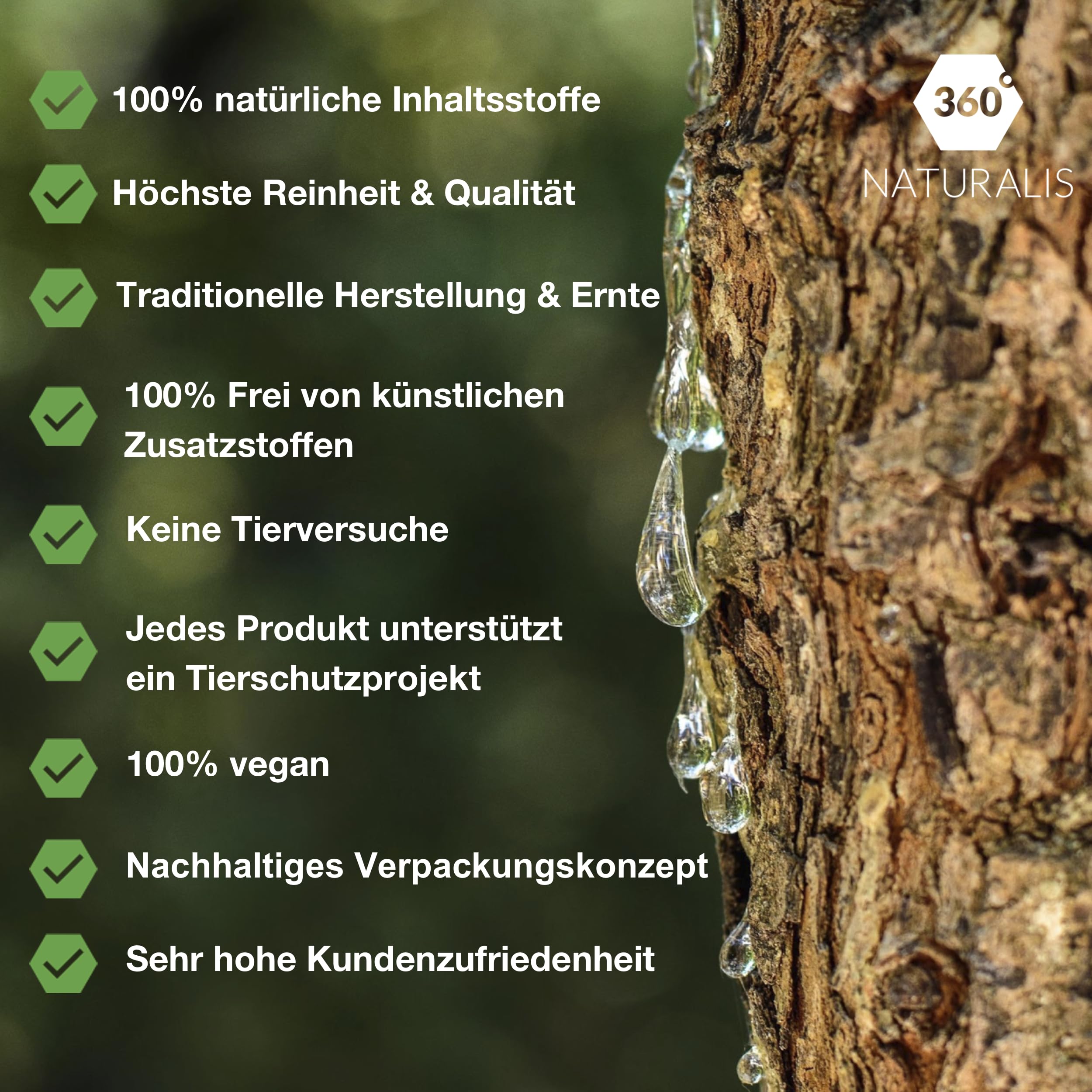 Natur Chios Mastix - Medium Tears - 50g - Natur Kaugummi (Packung mit 2)