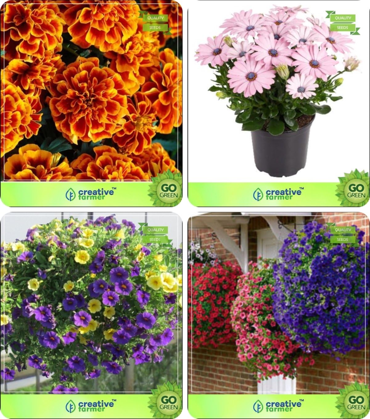 Flower Seeds Plant Seeds for Landscaping Combo Marigold