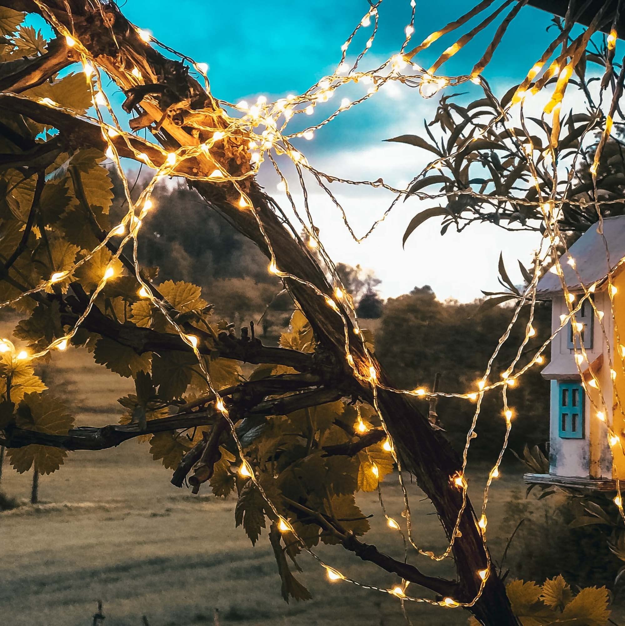 hellum LED Lichterkette außen Bernstein, Timer, Trafo, 59,80m beleuchtet | Lichterkette bernsteinfarben mit 300 LED, Kupferkabel mit Aufrollhilfe, für Hochzeit, Garten, Party, Weihnachten <59lm 578904