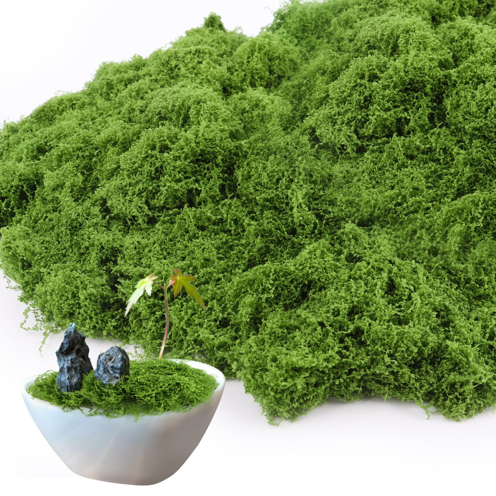 Muschio Stabilizzato 100g - Verde, Per Decorazioni, Presepi E Fai-Da-Te, Artificiale E Naturale - Foto 9