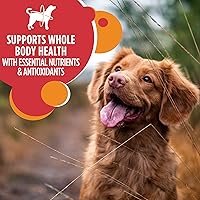 Vista 3 de Iams Proactive Health Comida seca para perros adultos croquetas Minichunk