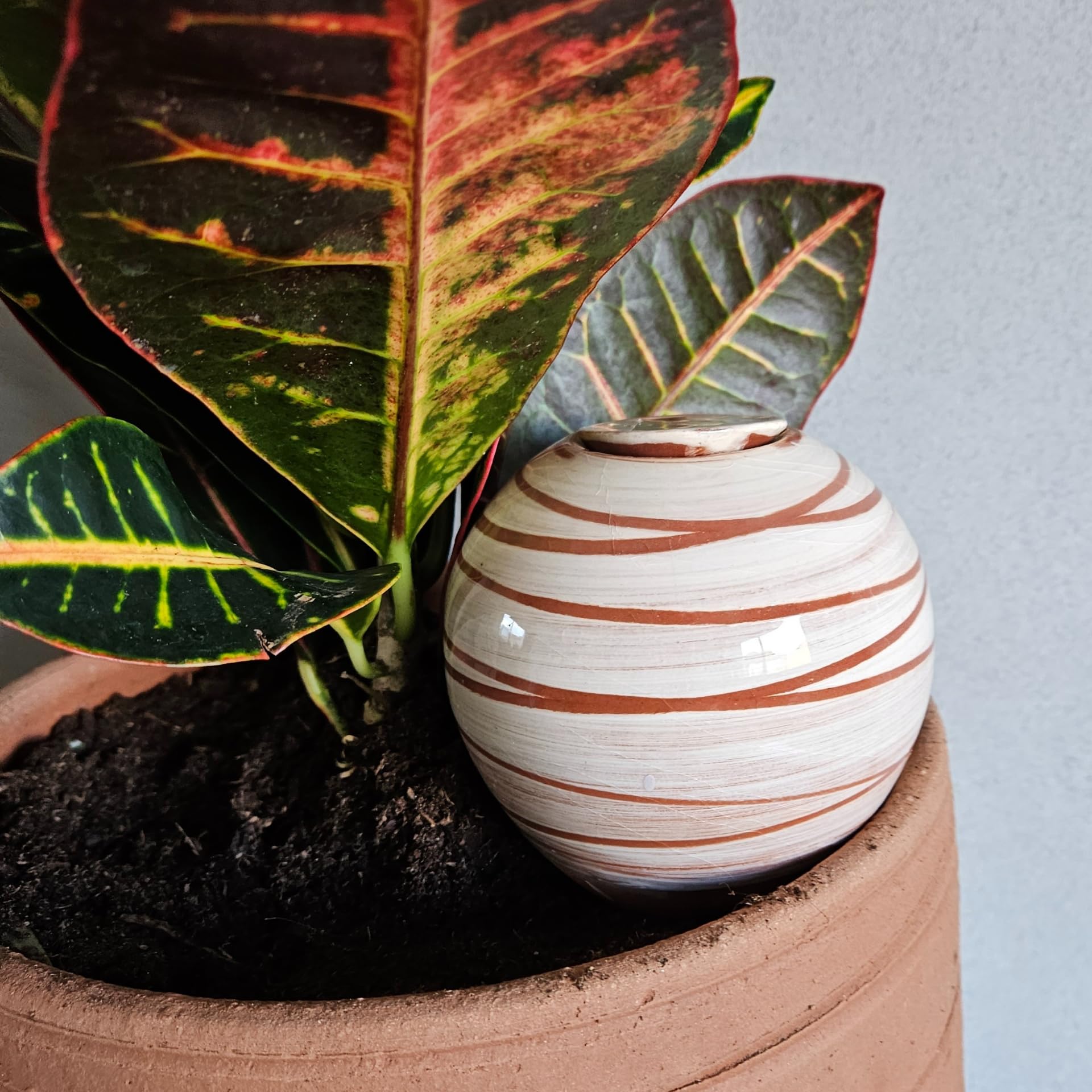 Olla En Terre Cuite 40cl - Système D'arrosage Autonome Pour Plantes D'intérieur, Autonomie 3-4 Jours, Fabriqué En France