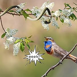 NAKIMO 3 Pieces Realistic Rubber Snake 50 & 31.5 Fake Snake Toy for Garden Props and Practical Joke