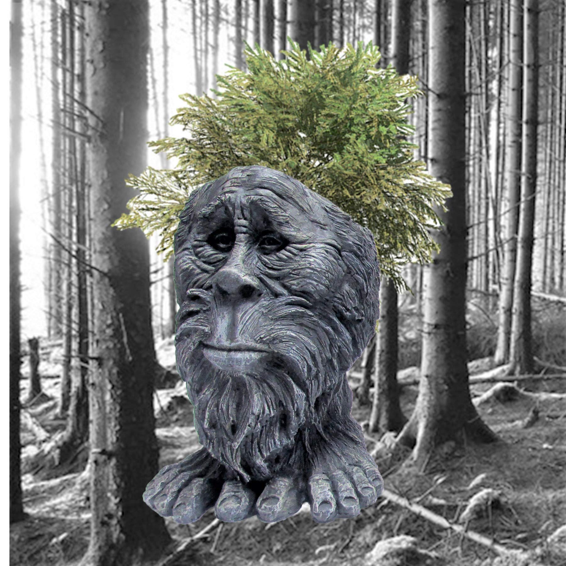 Amazon.com : SUNGUARD 13 in. Sasquash Bigfoot Yeti Muggly Face