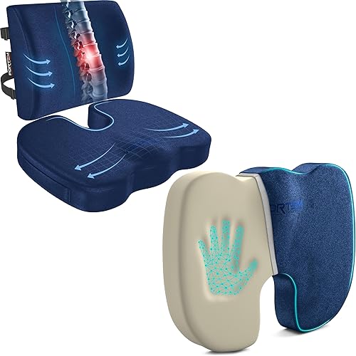 FORTEM Cojín de asiento y soporte lumbar (azul, terciopelo) + cojín para asiento de silla