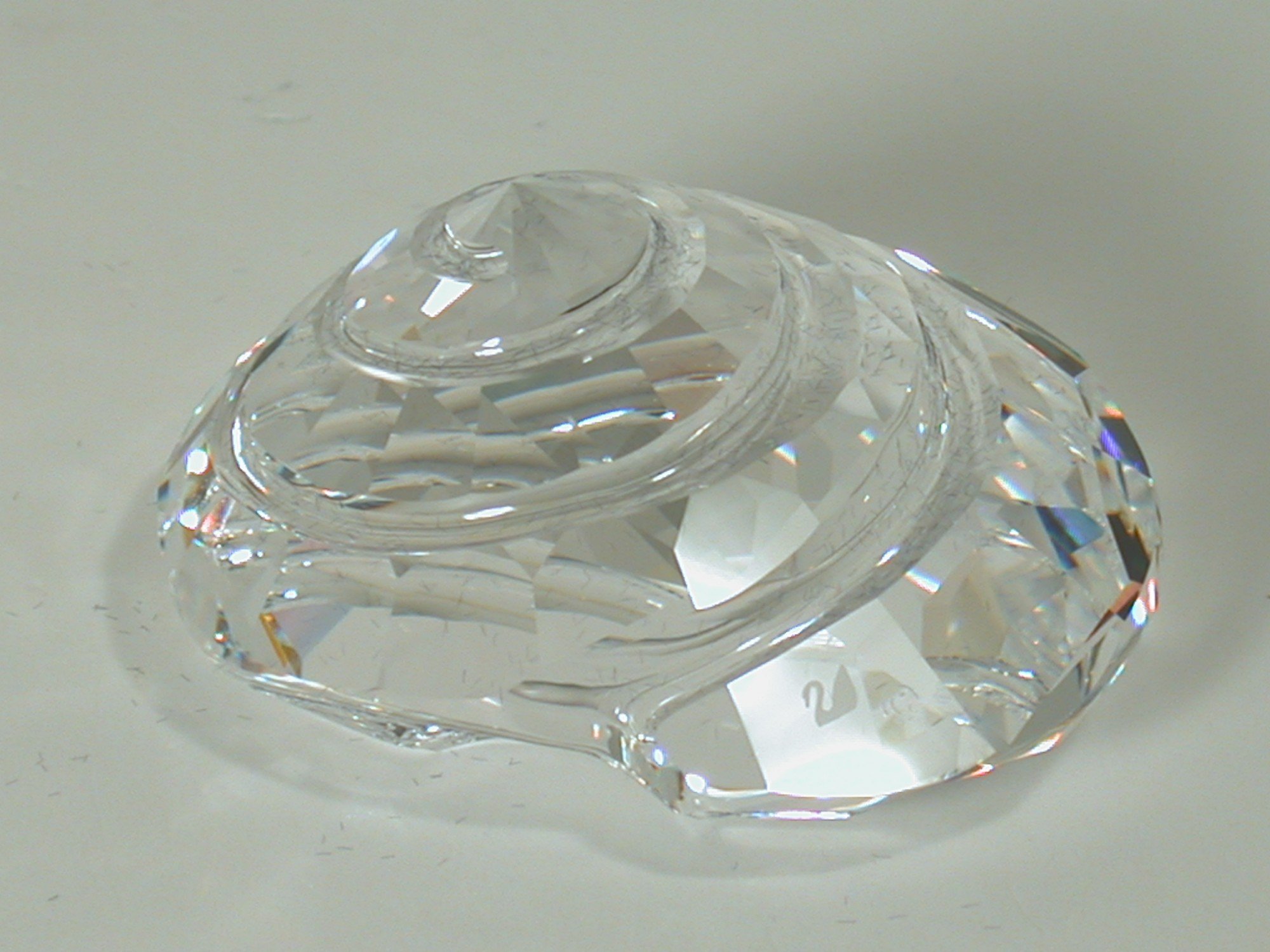 Amazon.com: Swarovski She'll A 9100 NR 000 065 : Clothing, Shoes