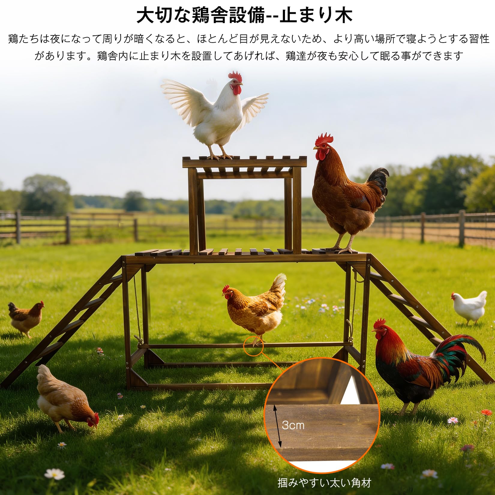 新品 BingoPaw 鶏の止まり木 スタンド 大型 幅200cm 高さ89cm Amazon | BingoPaw 鶏の止まり木 スタンド 大型 幅200cm 高さ89cm