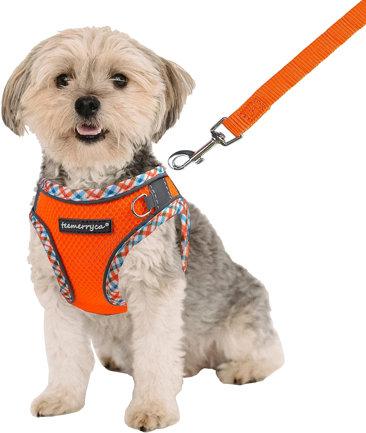 TEEMERRYCA All Weather Dog Harness and Leash Set Easy to