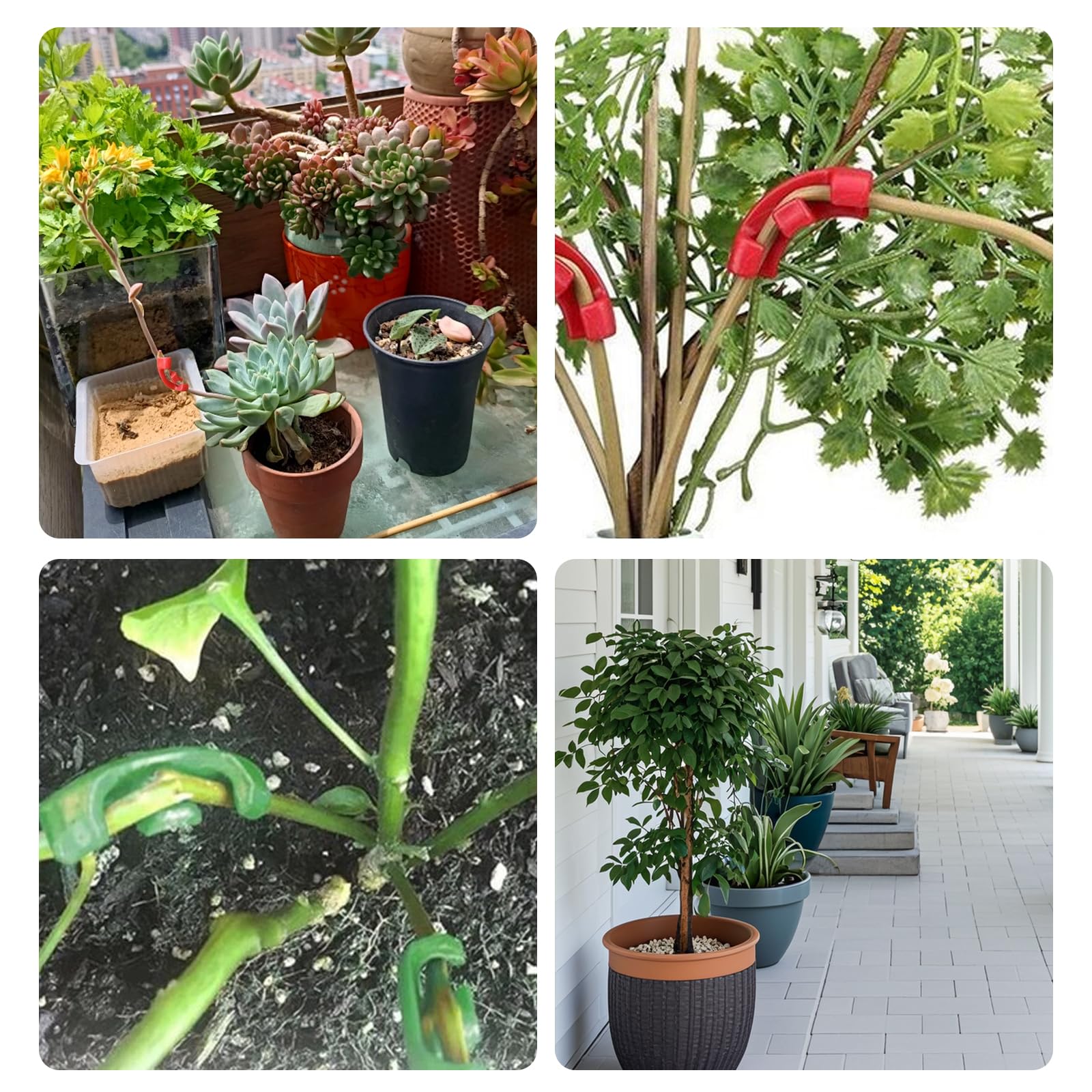 90 graden plantentrainer voor training met weinig stress, plantenbuigerclips, plantentraining, plantenbak, bevestigingsclip voor ondersteuning van bloemenwijnstok, tomaat, tuincontrole, groei van 90 graden plantentrainer voor training met weinig stress, plantenbuigerclips, plantentraining, plantenbak, bevestigingsclip voor ondersteuning van bloemenwijnstok, tomaat, tuincontrole, groei van