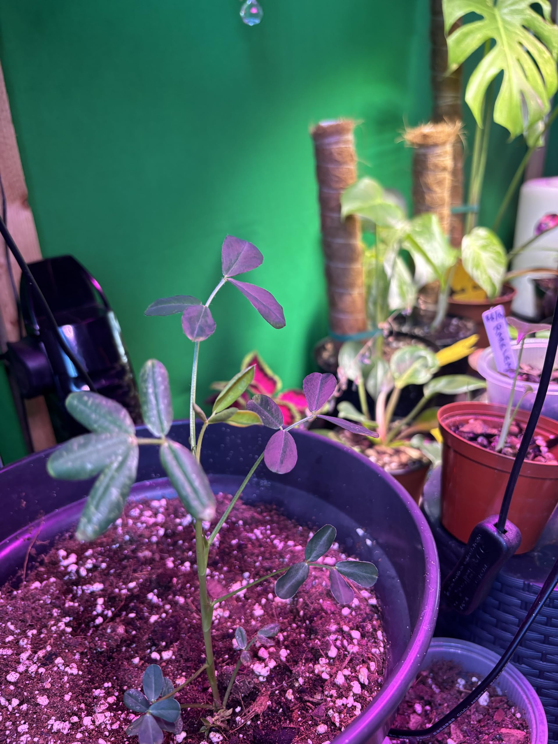 View 3
