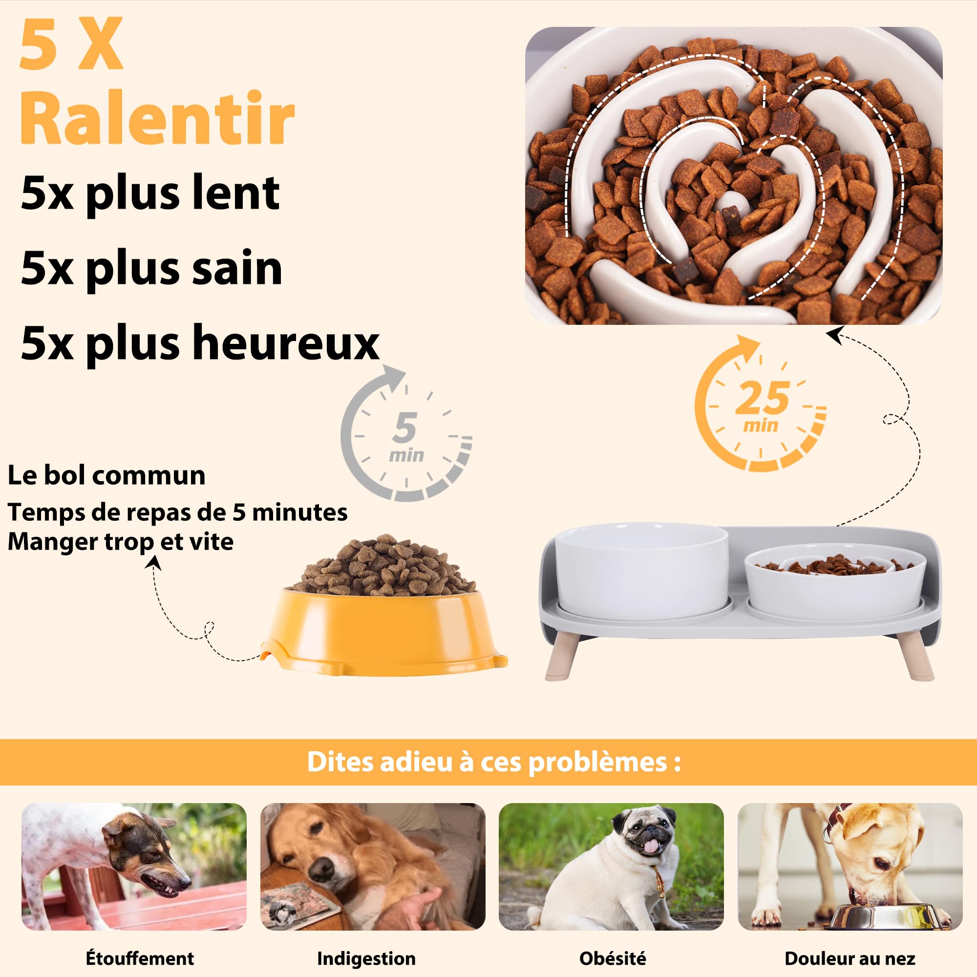 Gamelle Chien Anti-glouton surélevée Set - gamelles céramique avec Support Plastique antidérapant - Bol Alimentation Lente et Bol d’Eau pour Chiens de Petite et Moyenne Taille