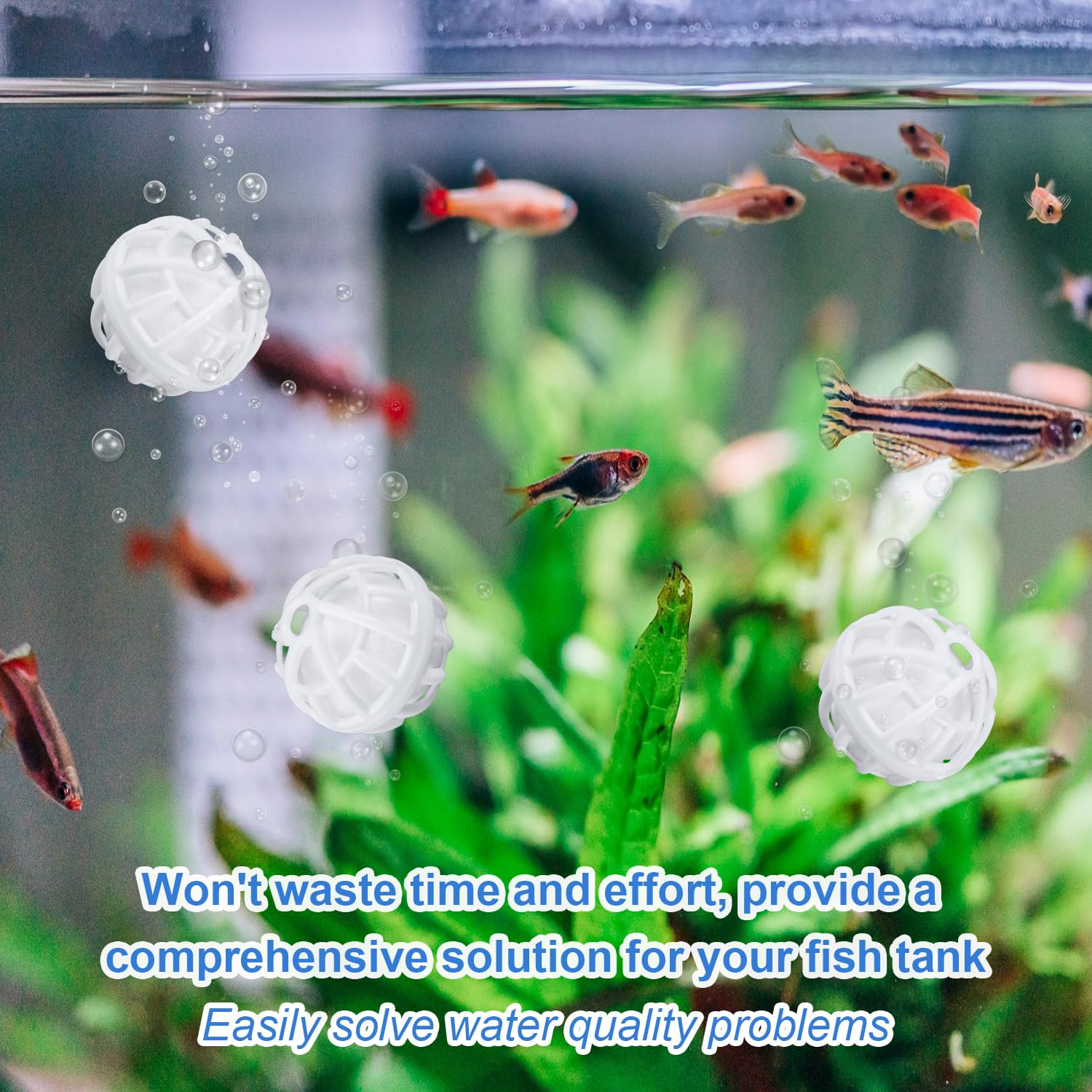 2pcs Betta Fish Exercise Ring and Filter Balls Set - Image 4