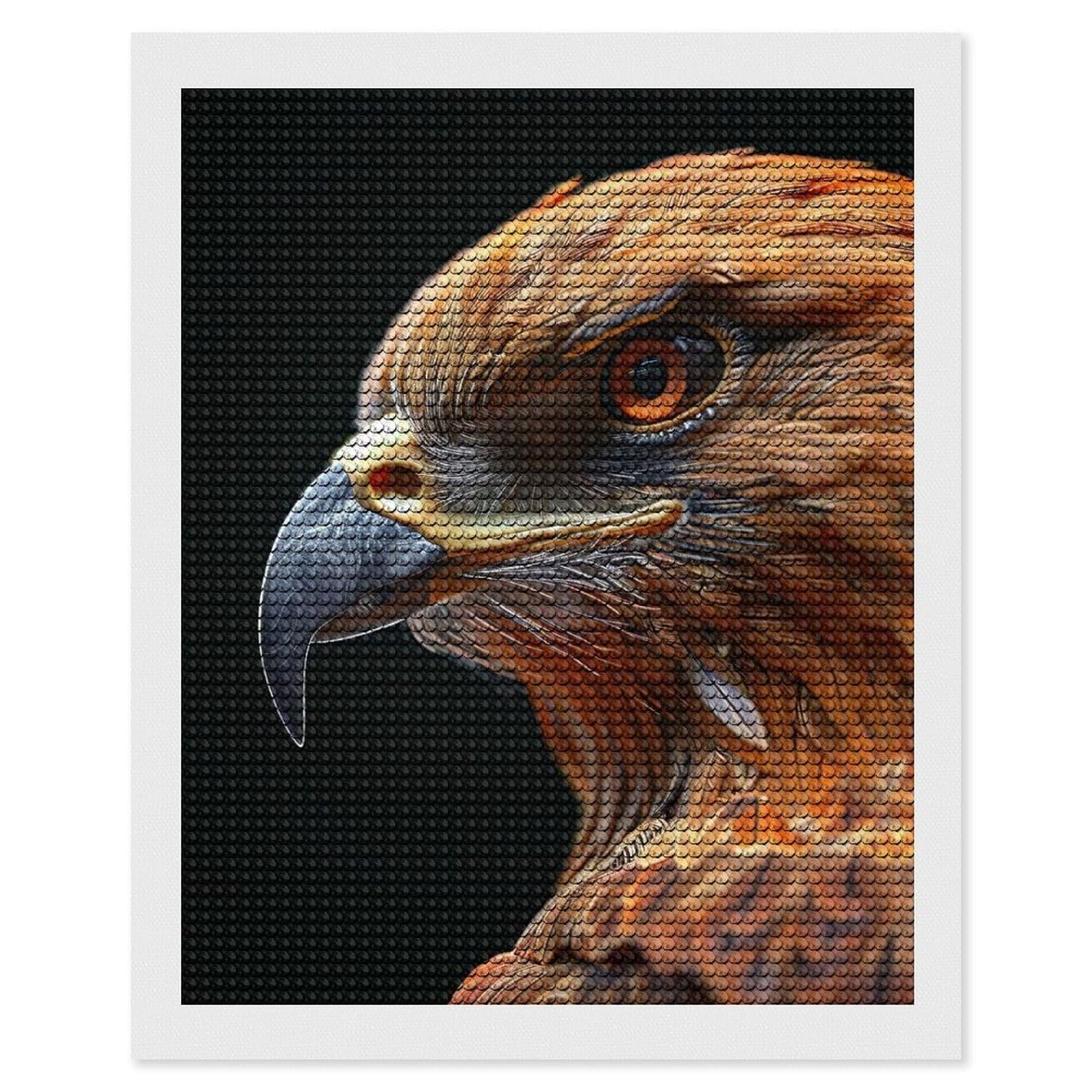 Junmoney Hawk Diamond Painting Set 16"x20", Sparkling Round Gems, Decorate Your Room, Fun Craft Experience, Modern Decor