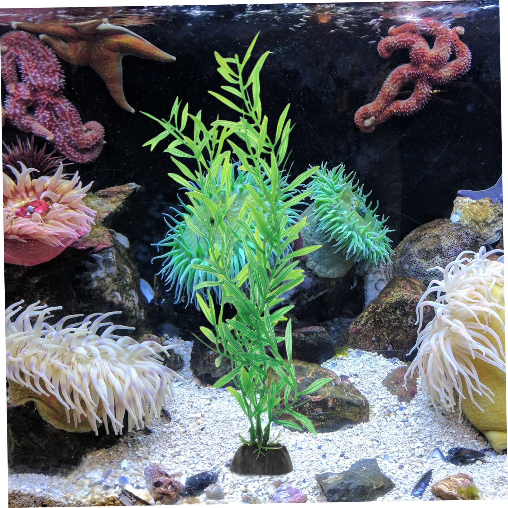 HAPINARY 10Pcs Artificial Aquarium Plants Plastic Fish Tank Decorations Realistic Ornaments for Fresh and Saltwater Aquariums for Fish and Easy to Maintain
