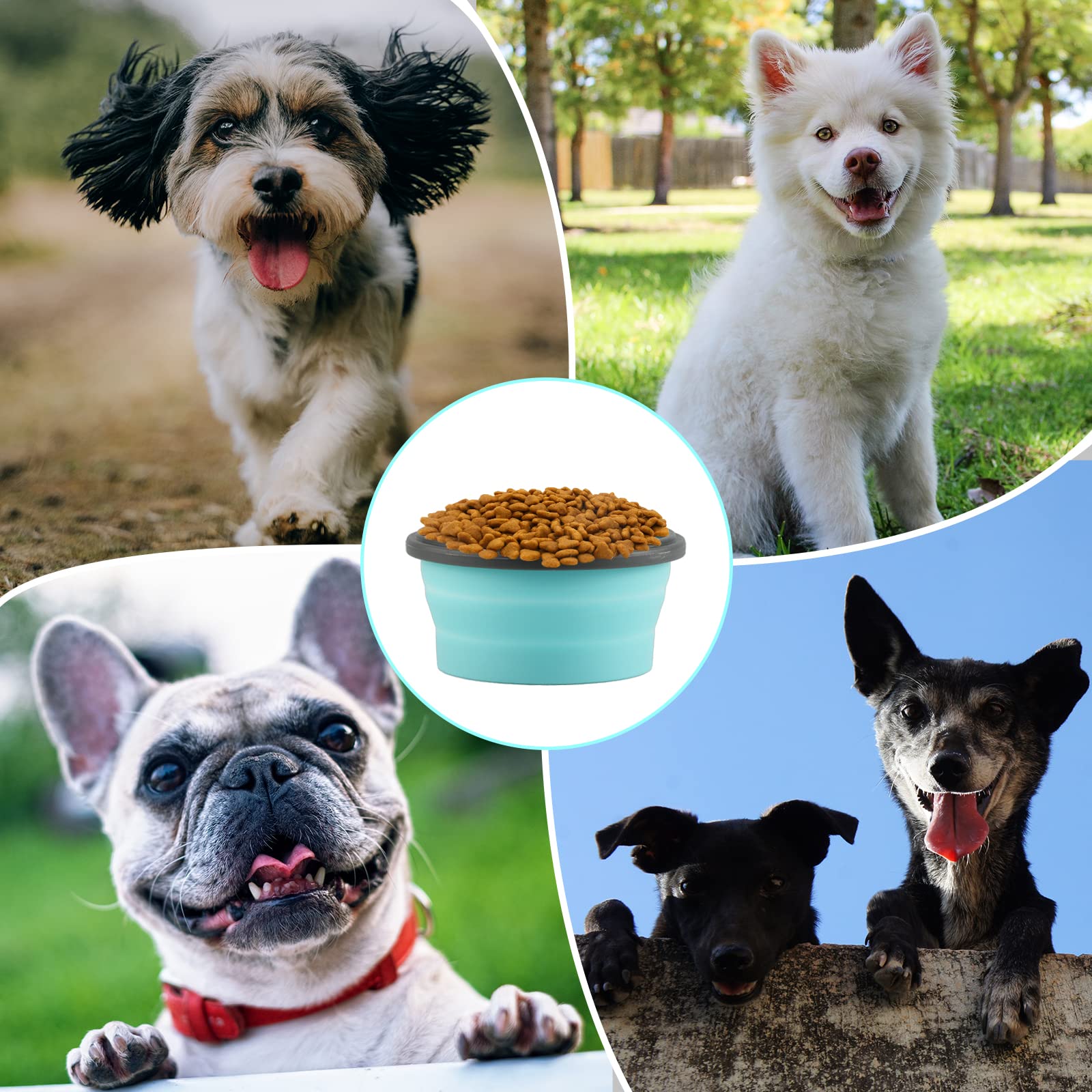 Ciotole Pieghevoli Per Cani LUTER | 2 Pezzi 350 Ml Con Coperchio | In Silicone Per Viaggio E Campeggio - Foto 3