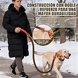 Ver la foto 6