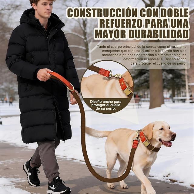 Foto 6 de 6 de Set de Collar y Correa 152cm para Perros XL (43-66cm) Nailon (Marrón)