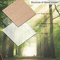 Vista 2 de GSCIT Club 12 piezas de chapa de madera de roble rojo, bandas de borde de madera de 12 pulgadas x 12 pulgadas, pre-pegadas, flexibles, bandas