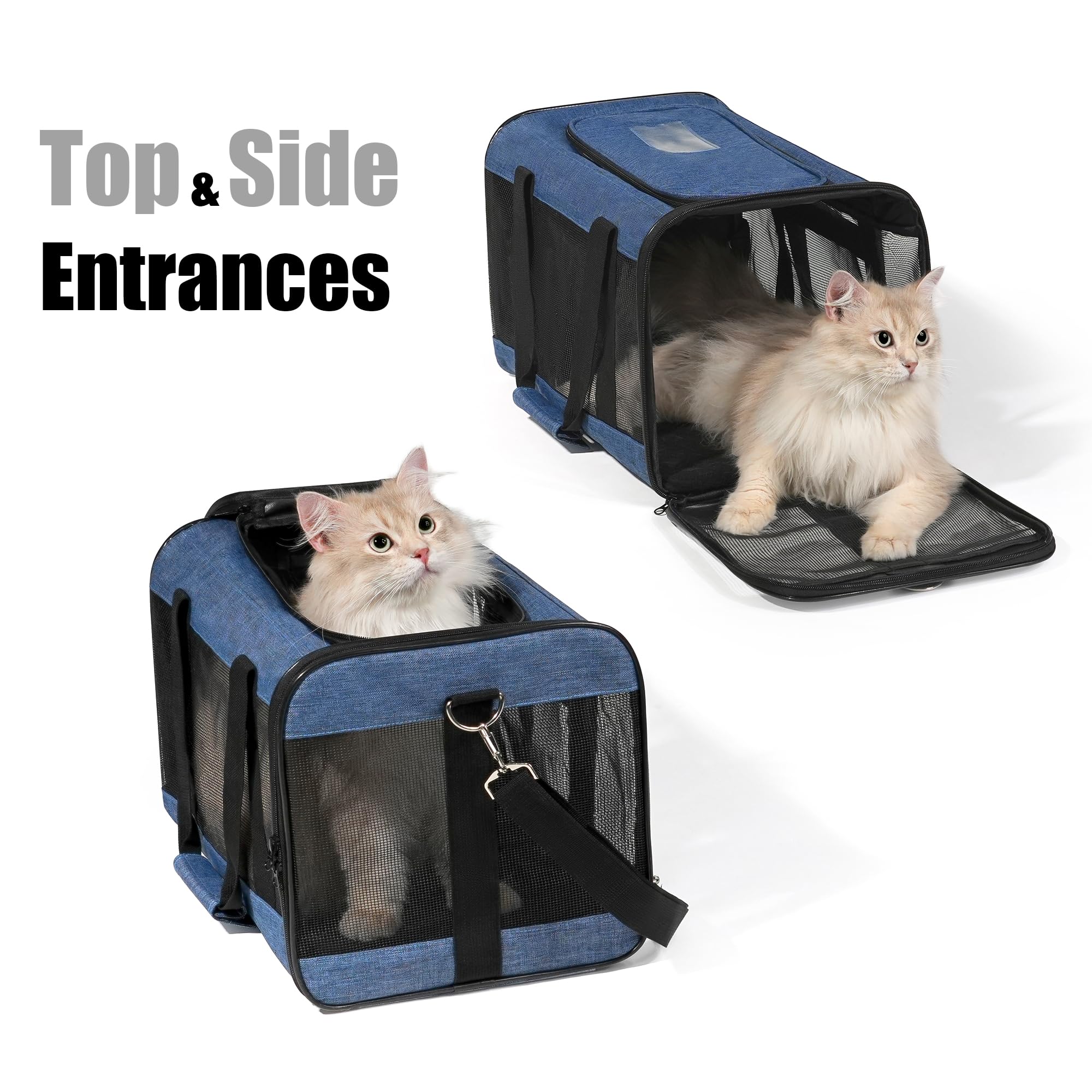 HITSLAM Trasportino Gatto, Trasportino Cane per Gatto/Gatti/Cane/Cani, Trasportino Morbido e Aereo Borsa per Animali Domestici Viaggio,Conforme agli Standard, blu (M)
