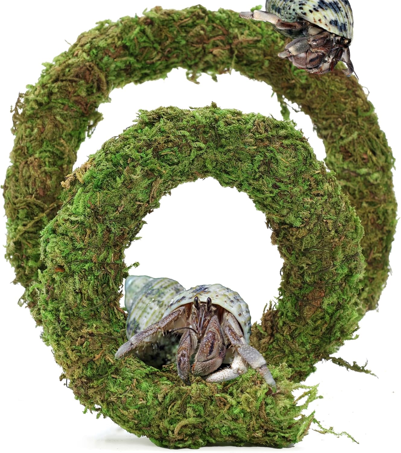 Bendable Hermit Crab Climbing Toys, Adjustable Fake Moss Vine for Pet Snail Hermet Crab Habitat Hideouts Tank Terrarium Accessories (Natural Green, 20Inch)