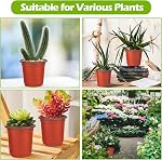 Nursery Pots 100 Pack 4" Plastic Plants Pot, Seedling Pots Planter Pots, Plant Flower Seedling Pots with 100 Plant Labels, Thickened Plastic Planting Pots for Garden Indoor Outdoor